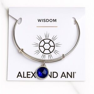 Alex and Ani Silver Blue Charm Expandable Bracelet
